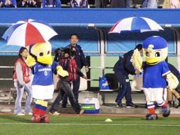 マリノス君、マリノスケ